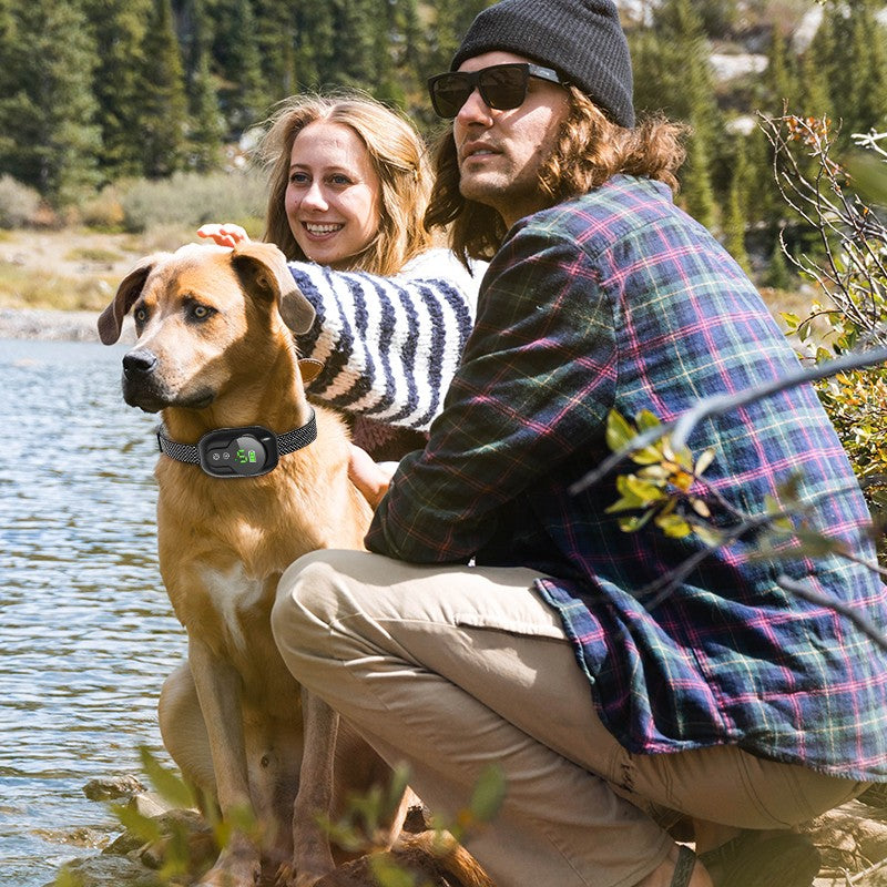 Anti Barking Dog Collar Rechargeable Automatic Bark Stopper Effective Stop Barking IP67 Waterproof Collars For Dog Motohoo