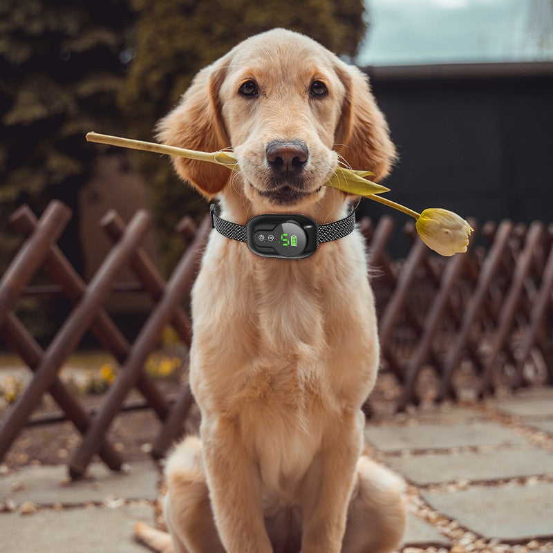 Anti Barking Dog Collar Rechargeable Automatic Bark Stopper Effective Stop Barking IP67 Waterproof Collars For Dog Motohoo