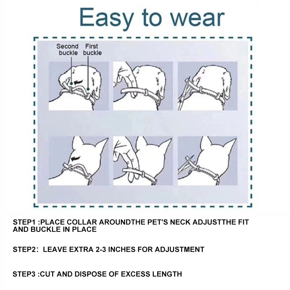 Pet Dog Cat Collars Veterinary Anti Flea and Tick Collar for Cats Dogs Anti-parasitic Necklace for Large Small Dogs Products Motohoo