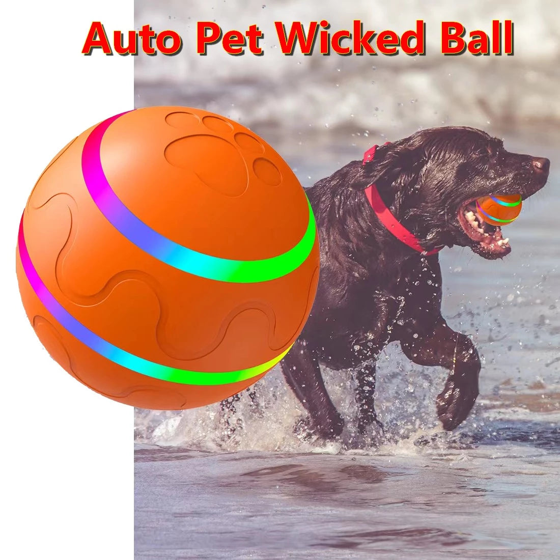 Smart Interactive Dog Wicked Ball Toy Light up LED Dog Ball Puppy Indoor waterproof Bite Resistant Glowing Cat Dog Accessories Motohoo