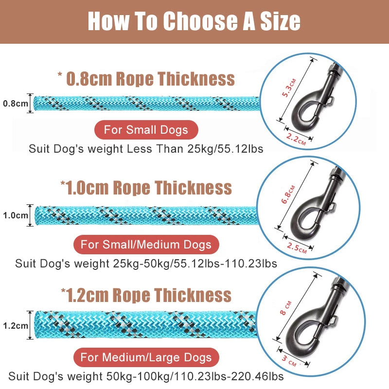 Strong Nylon Dog Leash Motohoo